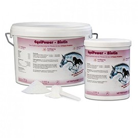 EquiPower Biotin 750g