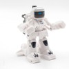 Battle RC Robot 2.4G Body Sense Remote Control Interactive Boxing