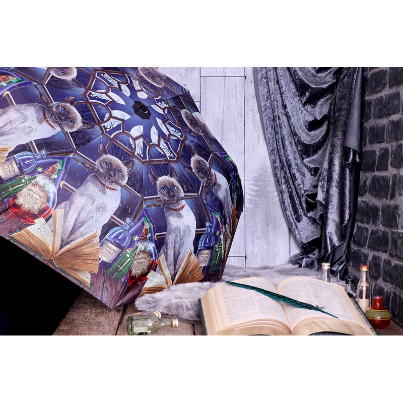 Nemesis Now Hocus Pocus (LP) Umbrella, Multi-Colour, 55 cm