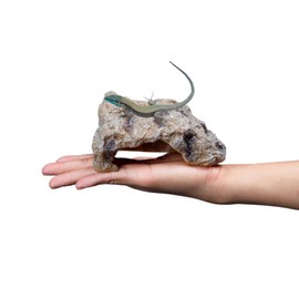 Archnote Reptile Leopa Shelter Lizard Snakes Turtles Rock Shelter Reptile Shelter Rock Shelter Rocks Lair S