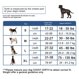 BARKBAY No Pull Dog Harness Large Step in Reflective Dog Harness with Front Clip and Easy Control Handle for Walking Training Running(Star,S)