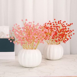 DECHOUS Succulent Planter Pots White Ceramic Pumpkin Vase Bubble Vase for Flower Arrangement Hydroponic Planter for Dried Flower