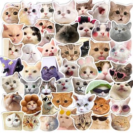 50Pcs Cute Cat Stickers for Kids, Auony Waterproof Vinyl Cartoon Animal Stickers for Cat Lovers Laptop, Skateboard, Water Bottles, Scrapbooking