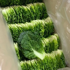 국내산 쌈채소 쌈배추 500g 내외 Domestic Ssam Vegetable Ssam Baechu 500g ±
