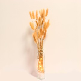 Dried Pampas Grass in Glass Vase with LED Lights & Faux Crystals, Bunny Tails Dried Flowers Modern Floral Centerpiece for Home Decors Living Room Office Wedding Boho Farmhouse Table Decor