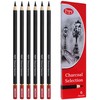 Pepy Professional Medium Charcoal Pencil Drawing Set – Set of
