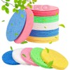 50-Count Compressed Face Sponges for Aestheticians, 100% Natural Cellulose Face