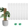 EOX 8 Pcs 15 Inch Plastic Moss Pole for Monstera,