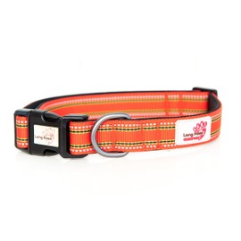 Long Paws Comfort Collar, Reflective, Padded Dog Collar, Extra Small, Orange