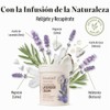 NATURE WELL Lavender Smooth & Soften Moisturizing Cream For Face,