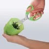 Tescoma Herb Shears with Container, 15 Cm Presto, Assorted, 11.7