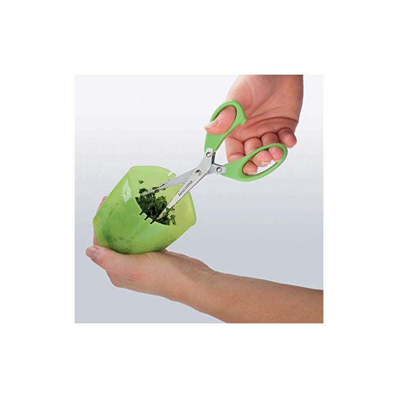 Tescoma Herb Shears with Container, 15 Cm Presto, Assorted, 11.7