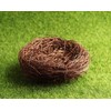 Exasinine 10 Pcs 5.5'' Artificial Bird Nest for Crafts, Easter,
