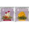 Blooming Tea Flowers - Pomegranate & Pineapple Flowering Teas –