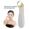 Facial Beauty Massager Hot Compress Vibration EMS Microcurrent Skin Tightening