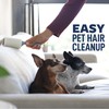 Scotch-Brite Everyday Clean Lint Roller, Lint Roller for Pet Hair,