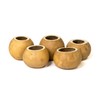 Box of 5-2" Decorative Gourd Bowls for Crafting with Straight