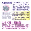 未来菌 乳酸菌 サプリ ビフィズス菌 30種類 5兆個 30日分 有胞子性乳酸菌 オリゴ糖 食物繊維