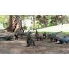 Tiburon Prehistórico Jurassico De 30 Cm Figura De Dinosaurio Megalodon