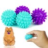 Petite Paws Spiky Dog Ball 1.8 Inch Squeaky Toy for