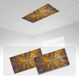 2 Pcs Fluorescent Light Covers with 80 Magnets Decorative for Classroom Ceiling Light 4 x 2 Feet Magnetic Light Covers Filter Easy Install for classroom Office Hospitals & Home Drop Ceiling Supplies