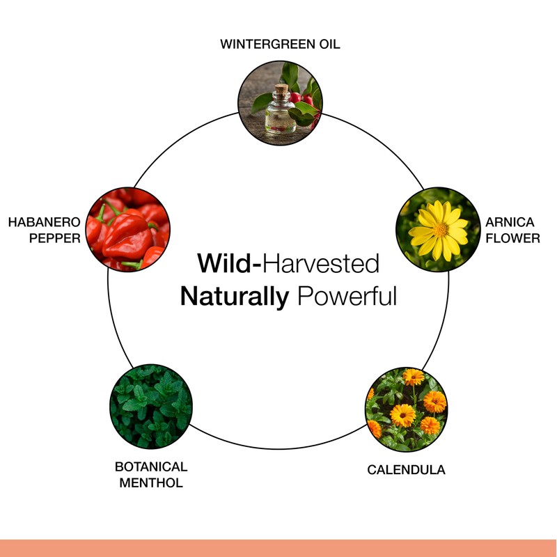 Dr. Schulze's Deep Tissue Oil | Powerful Herbal Support for