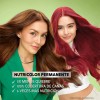 TinteNutrisseNutrisse coloríssimosMascarilla nutricolor permanentetono 6646 cobrizo rubípara cabello