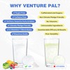 Venture Pal Sugar Free Electrolyte Powder Packets - Liquid Daily