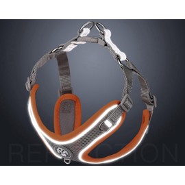 Benala Adjustable No-Pull Dog Cat Harness Leash Set- Reflective Comfortable Control Vest Set- Soft Mesh Step-in Dog Cat Harness Leash,Orange,S