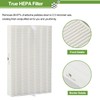Smilyan 6 Pack Hpa300 HEPA Replacement Filter R for Honeywell