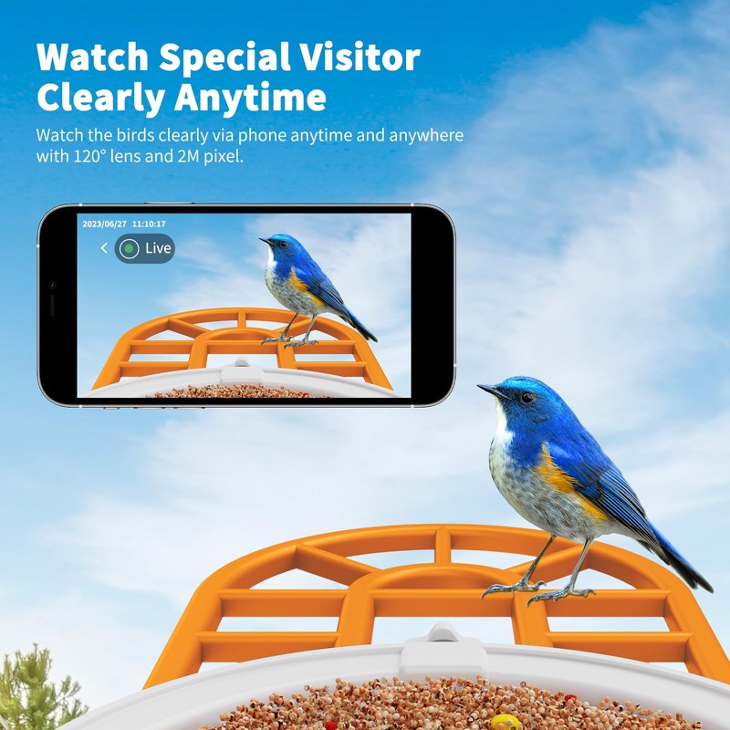 Bird Feeder with Camera with AI Identify Bird Species Solar