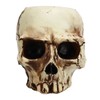 Skull Head Flower Pot Resin High Strength Clear Shape Skull