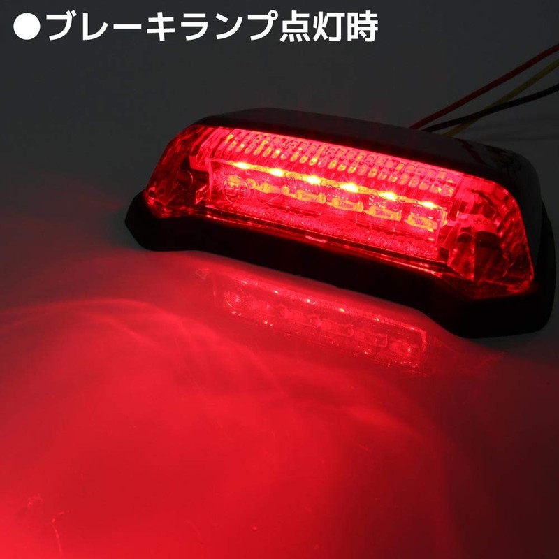 Universal Fender Mount LED Tail Lamp Black Body Red Lens