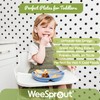 WeeSprout Silicone Plates for Babies & Toddlers (3 Pack) 100%