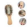 Healeved Mini Portable Hair Brush Detangling Hair Brush for Travel