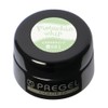 PRE GEL PG-CE981 Color EX Pistachio Whip 0.1 oz (3