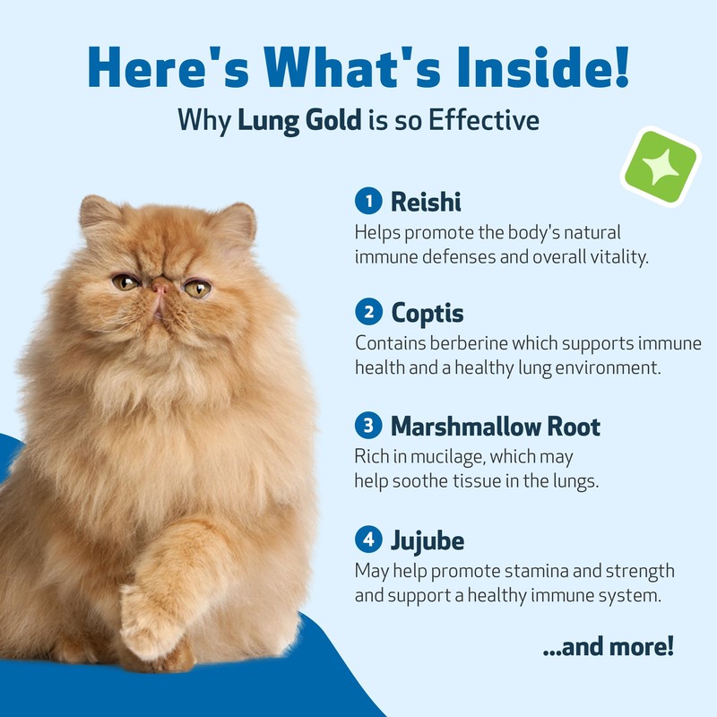 Pet Wellbeing Lung Gold for Cats - Lung Immune Support,