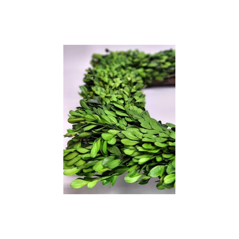 Tradingsmith Preserved Boxwood Square Wreath - 17"