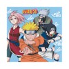FIESTORA, Naruto, Tovaglioli per festa di compleanno a tema, design