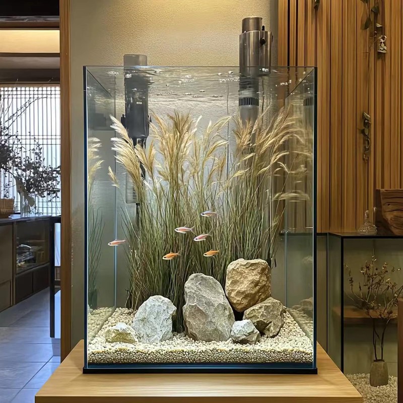 Vimvins 5 Gallon Glass Fish Tank, Easy to Maintain Small
