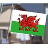12×18 inch Welsh Flag, 30×45 CM Small 100D Welsh Nautical