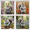 Grey Squirrel Coaster Set. 4 different Squirrel Pictures on 10cm
