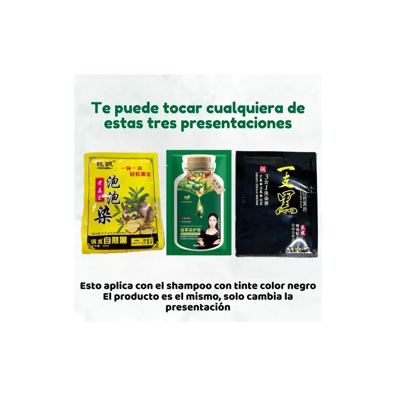 Shampoo Tinte Instantáneo Natural Cubre Canas Jengibre 120pz