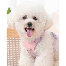 Purple Medium Dog Harness for Medium Dogs, No Pull Dog Harness with 2 Leash Clips, Easy Walk Dog Harness Medium Sized Dog, Puppy Harness for Medium Dogs, Dog Vest Harness (Purple, M)