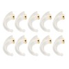 10Pcs Hearing Aid Ear Hook Perfect Fit Ergonomic PP Replacement