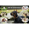 Dog Muzzle Breathable Basket Muzzles for Large and X-Large Dogs,