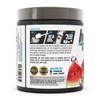 BPI 베스트 BCAA 필수 아미노산 288g (수박맛) Recharged BPI Best