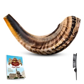 Shofar Horn Instrument – RAM Shofar Angels Musical Instrument – Half Polished/Natural (Full Set, 20"-22")
