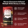 Better Alt Pure Himalayan Shilajit Cinnamon Honey Sticks with Organic
