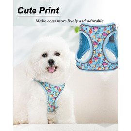 JUFOO XXS Blue Dinosaur Pattern Dog Harness and Leash Set,No Escape Puppy Harnesses for Training Walking，Breathable Adjustable Puppy Vest for Small Medium Dogs, Cats (Blue, XXS)